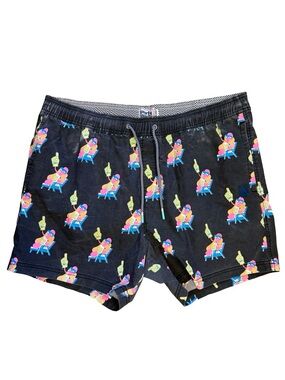 Party Pants Novelty Men’s Swim Trunks with hotdogs and beer
